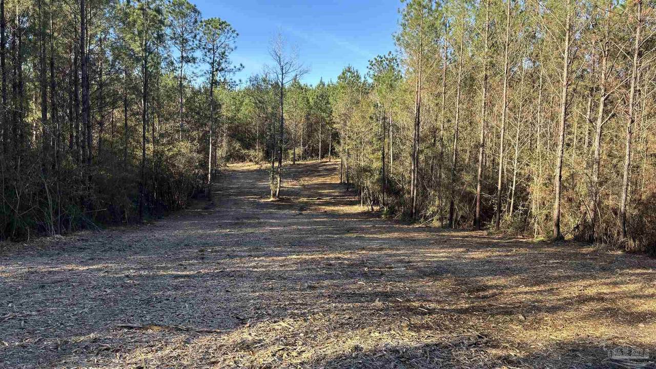 lot 60 Straw Bridge Rd - Photo 1