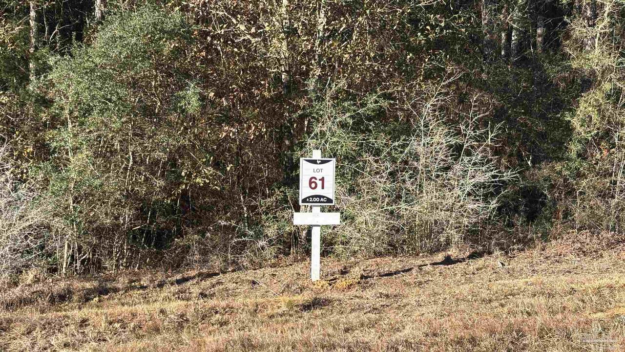lot 61 Straw Bridge Rd - Photo 1