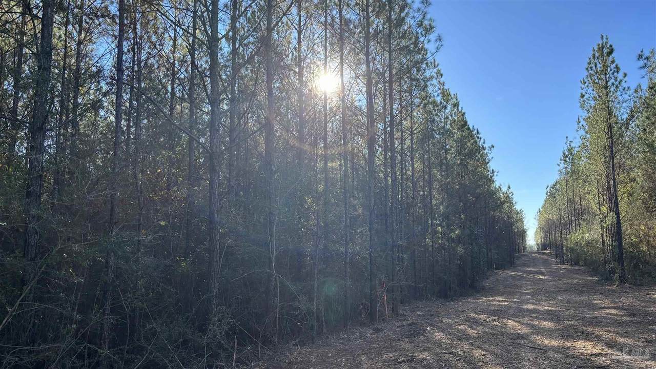 https://bt-photos.global.ssl.fastly.net/pensacola/1280_boomver_1_675098-2.jpg