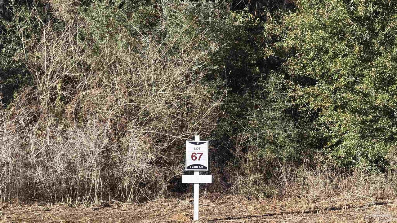 lot 67 Straw Bridge Rd - Photo 1