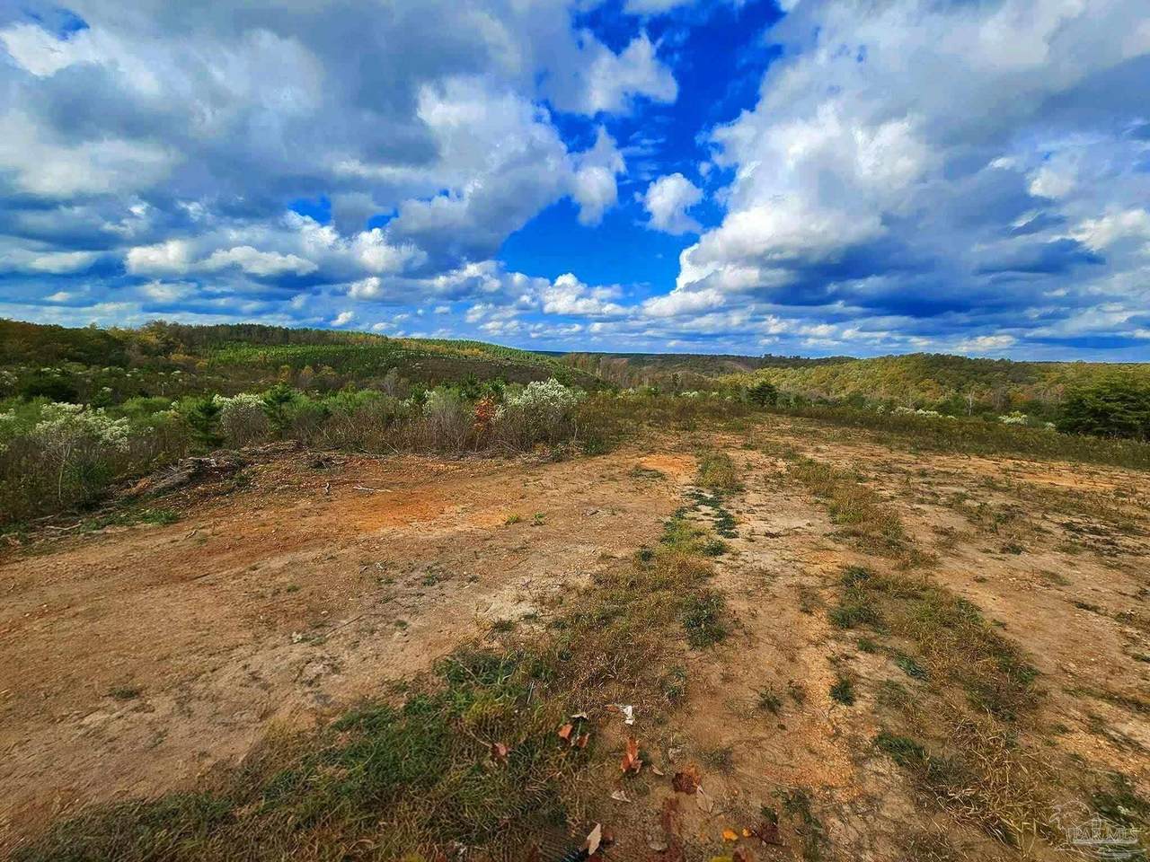 0 County Rd 79 - Photo 1