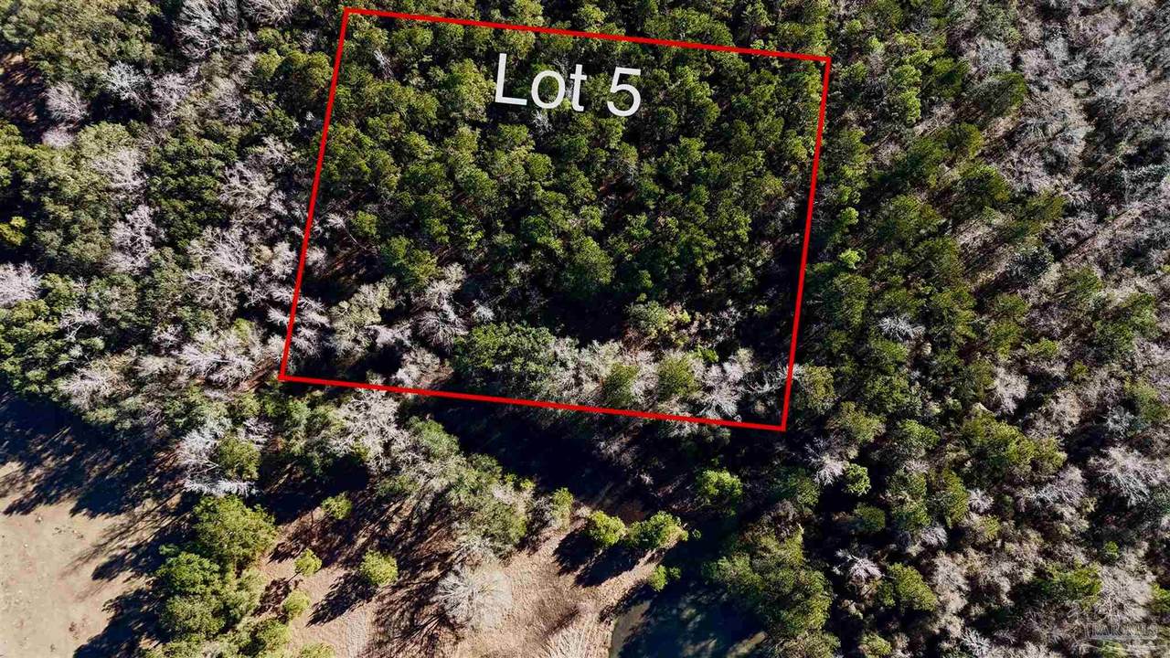 Lot 5 Tidwell Rd - Photo 1