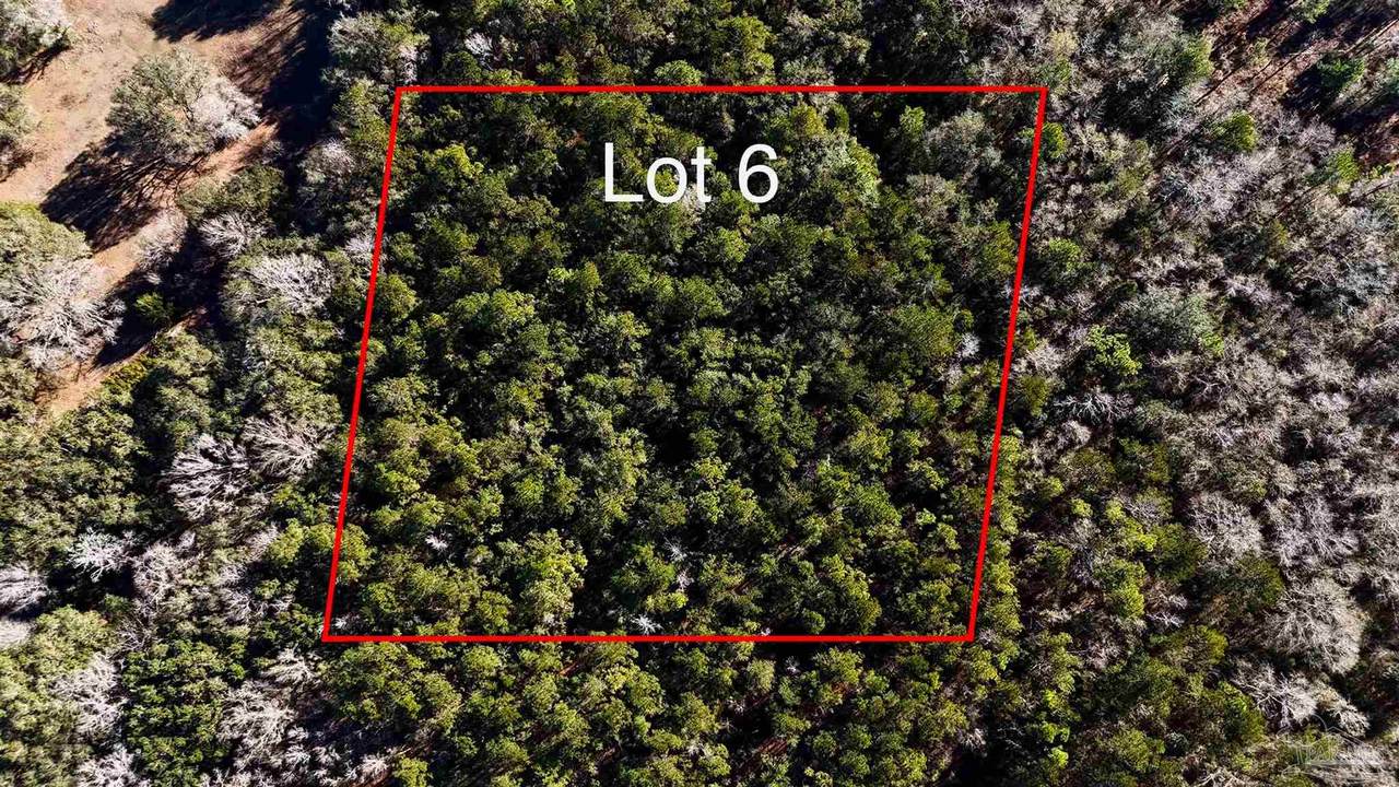 Lot 6 Tidwell Rd - Photo 1