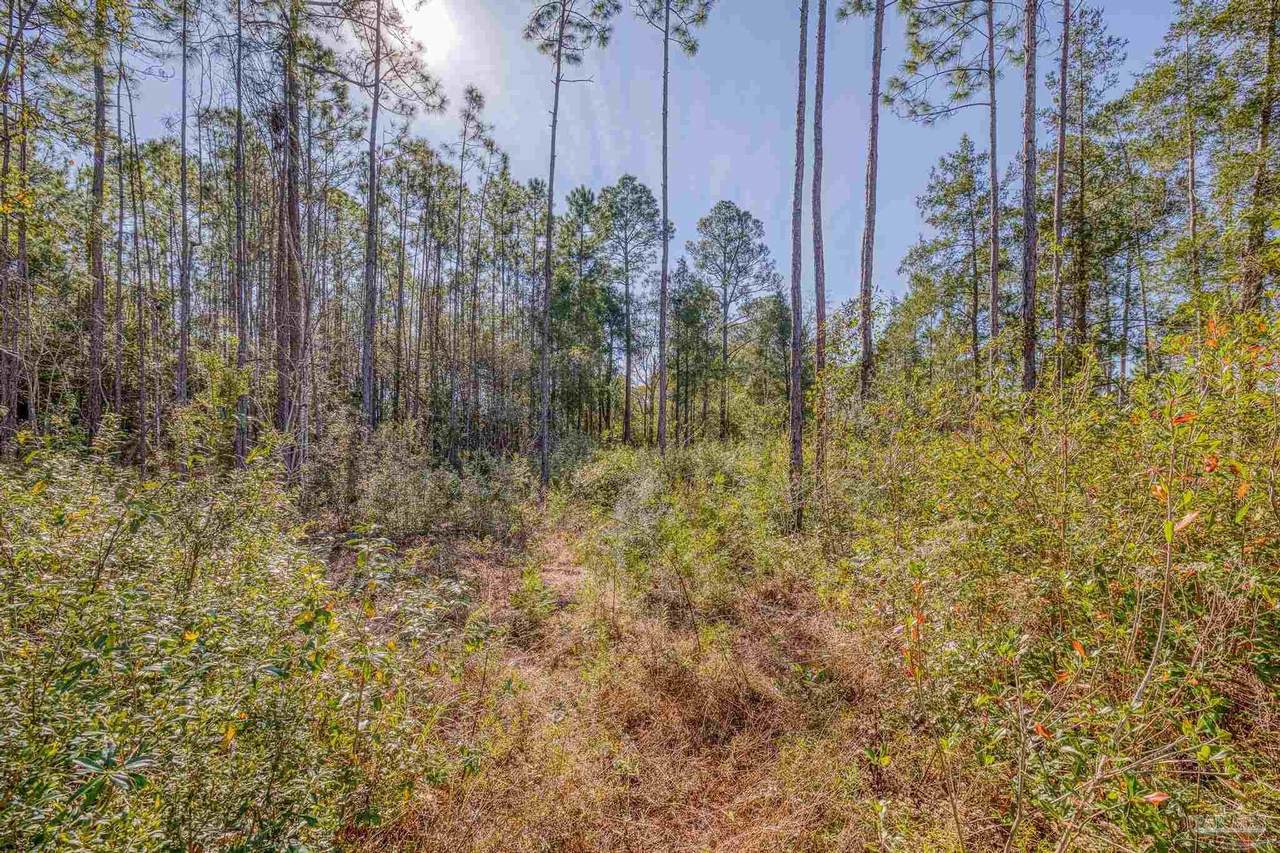 https://bt-photos.global.ssl.fastly.net/pensacola/1280_boomver_1_676485-2.jpg