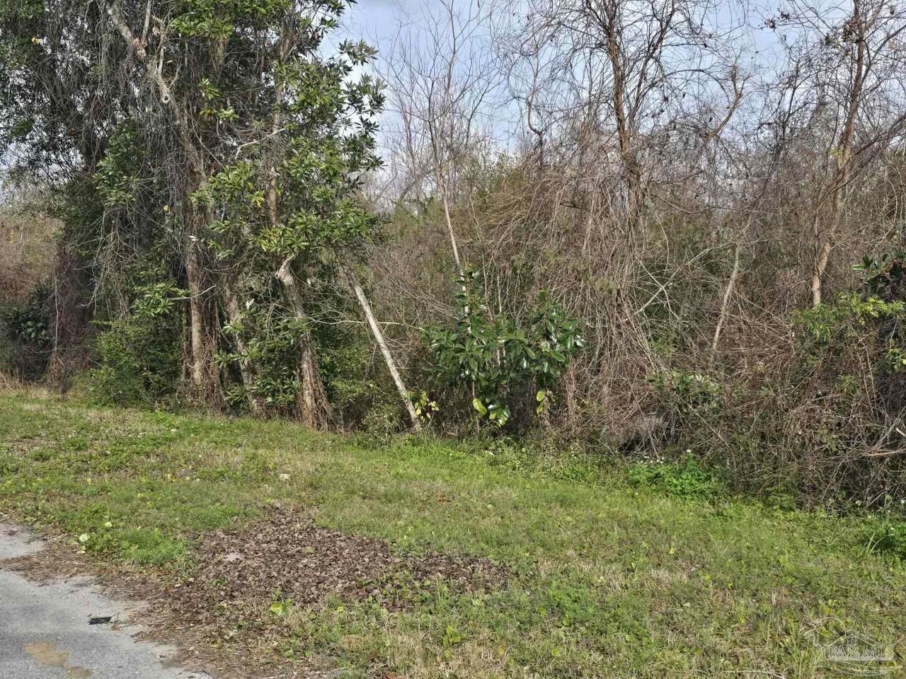 1511 Montana Dr - Photo 1