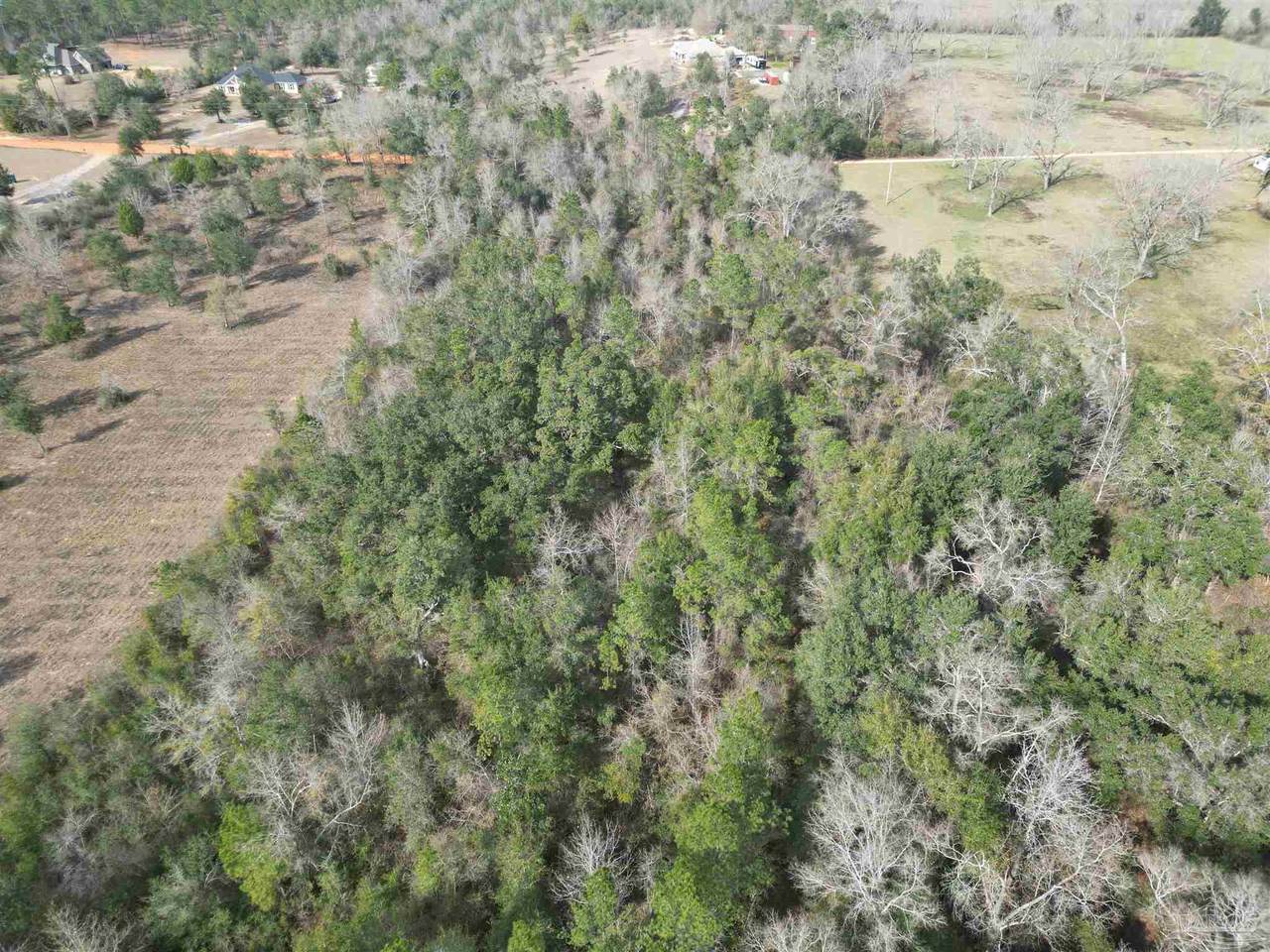 Lot 47 Arbor Ridge Rd - Photo 1