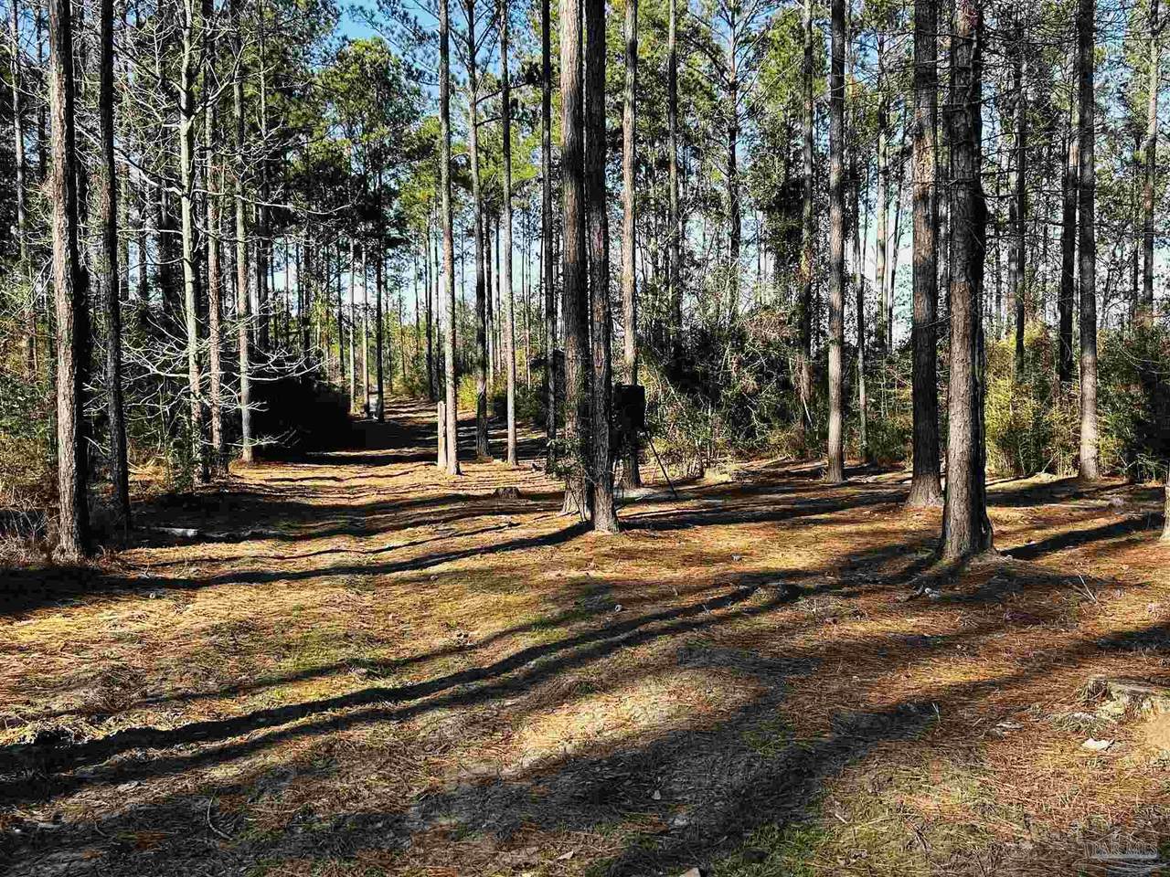 Lot 406 Country Mill Rd - Photo 1