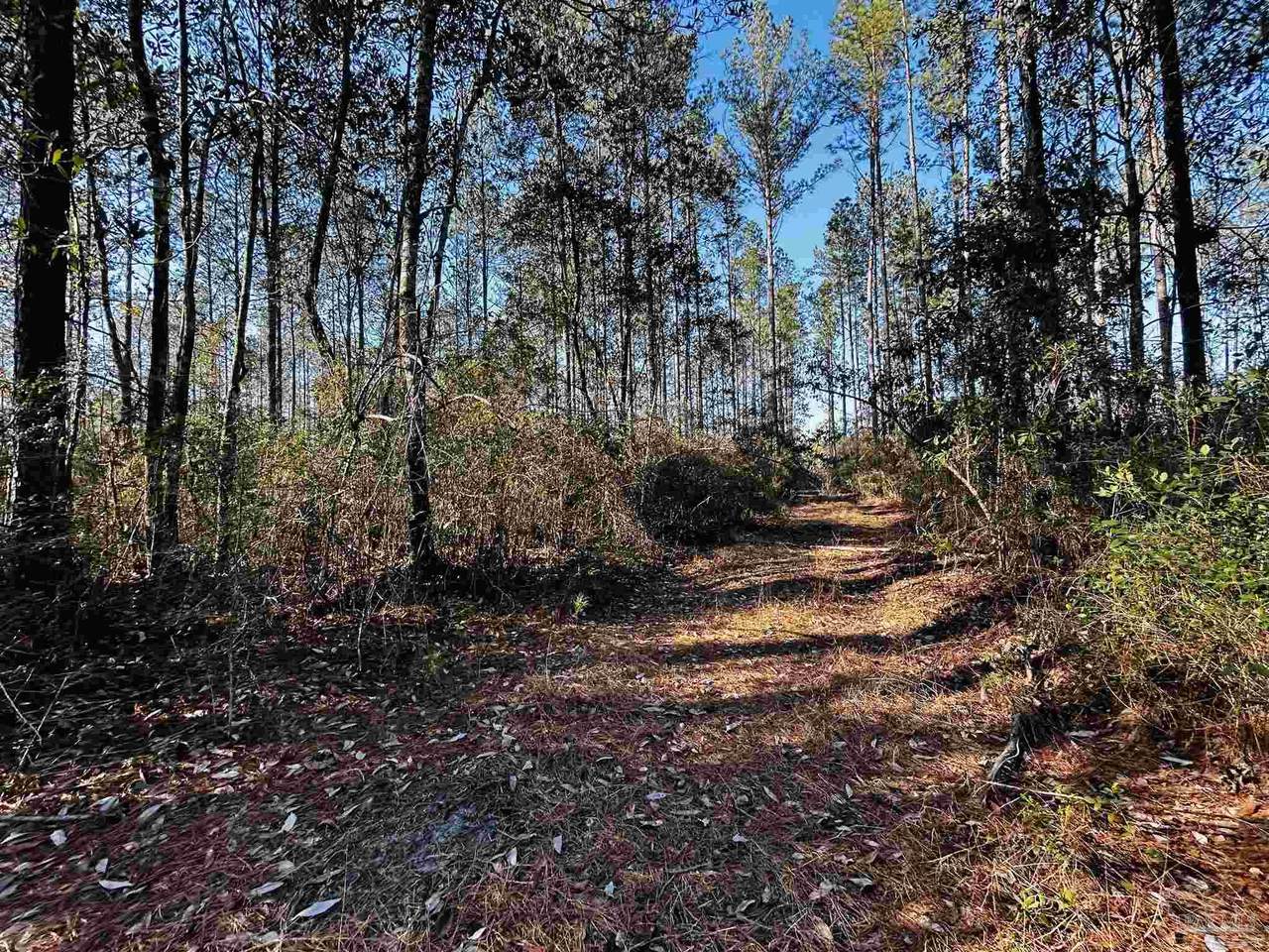 Lot 407 Country Mill Rd - Photo 1