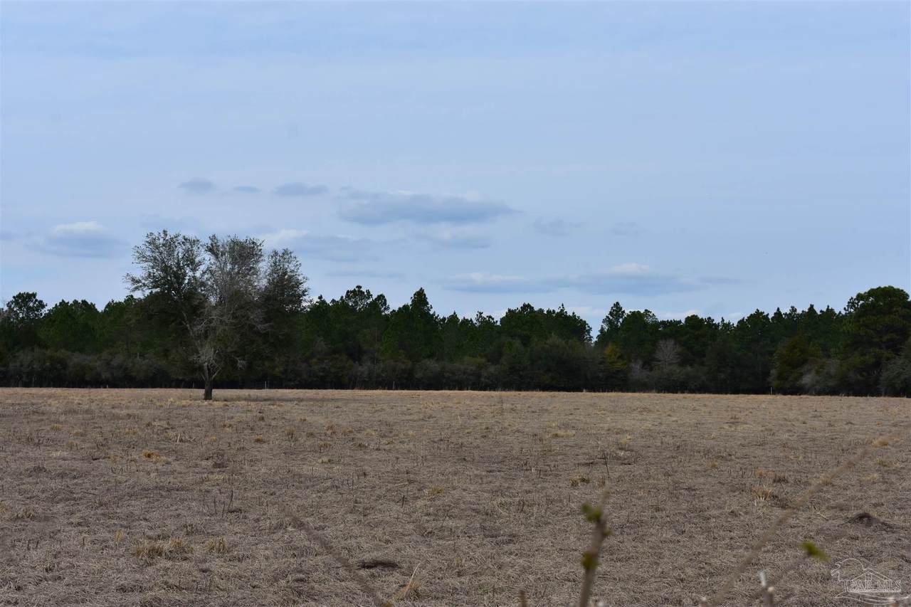 https://bt-photos.global.ssl.fastly.net/pensacola/1280_boomver_1_677029-2.jpg