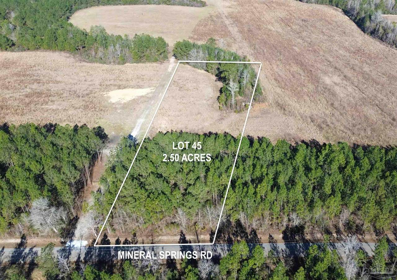 Lot 45 Mineral Springs Rd - Photo 1
