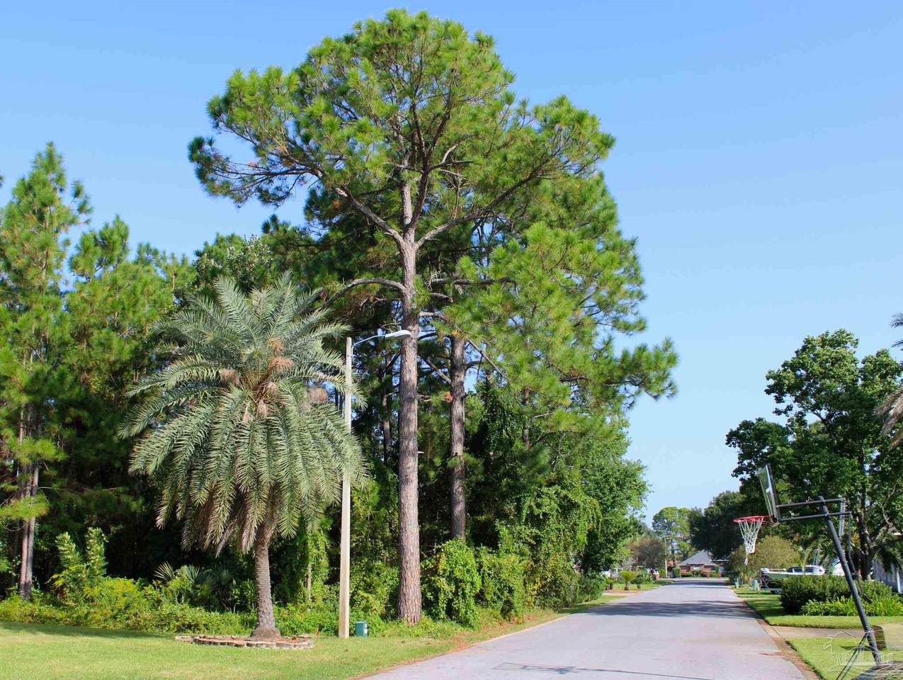 https://bt-photos.global.ssl.fastly.net/pensacola/1280_boomver_1_677383-2.jpg