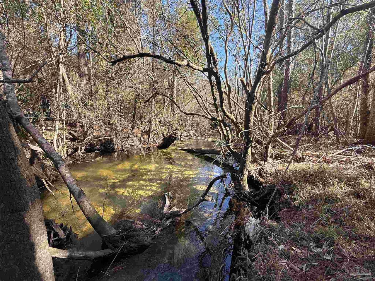 Lot 22 Creek Bluff Dr - Photo 1