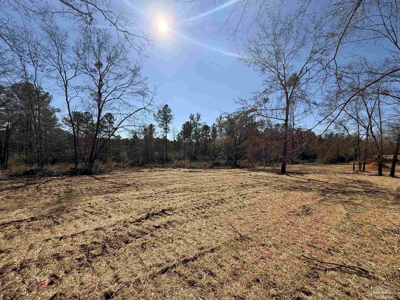 Lot 2 Creek Bluff Dr - Photo 1