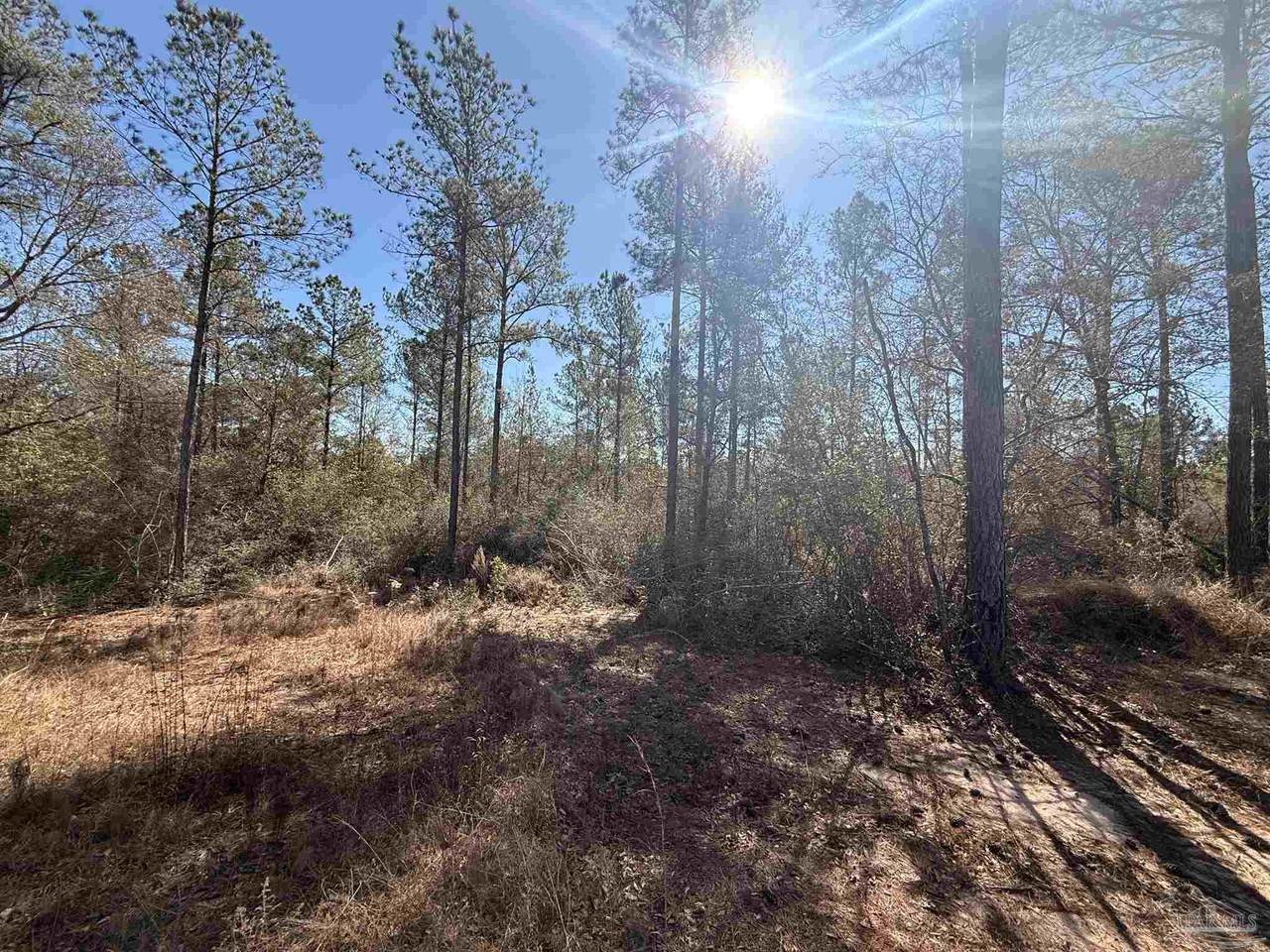 Lot 3 Creek Bluff Dr - Photo 1