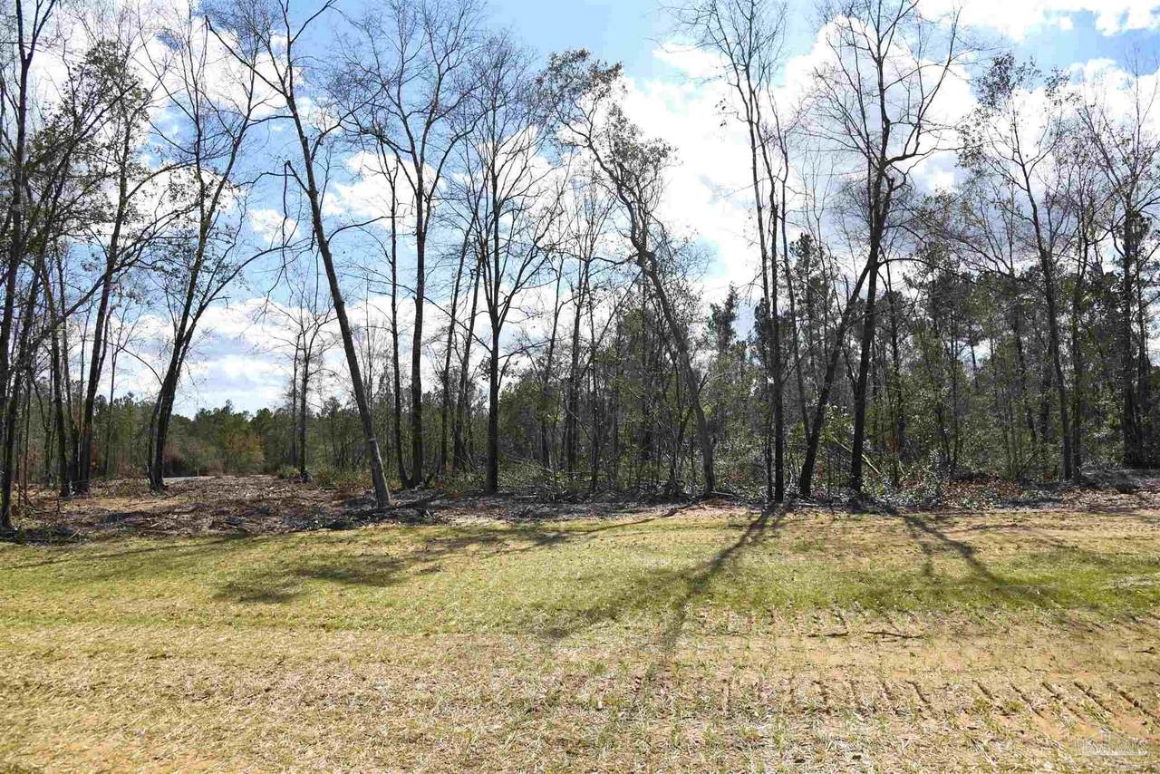 Lot 8 Creek Bluff Dr - Photo 1