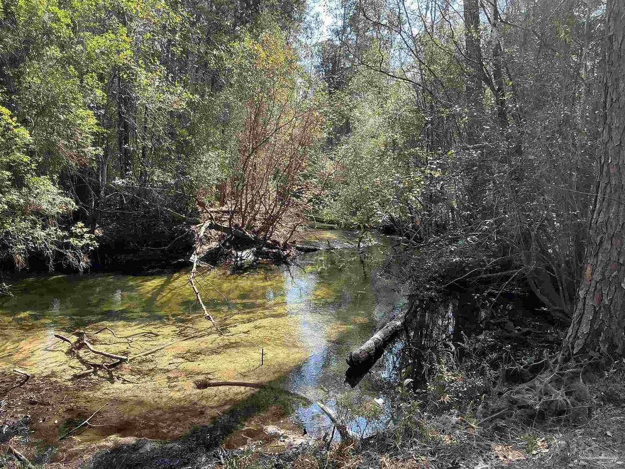 Lot 10 Brook Crossing St - Photo 1