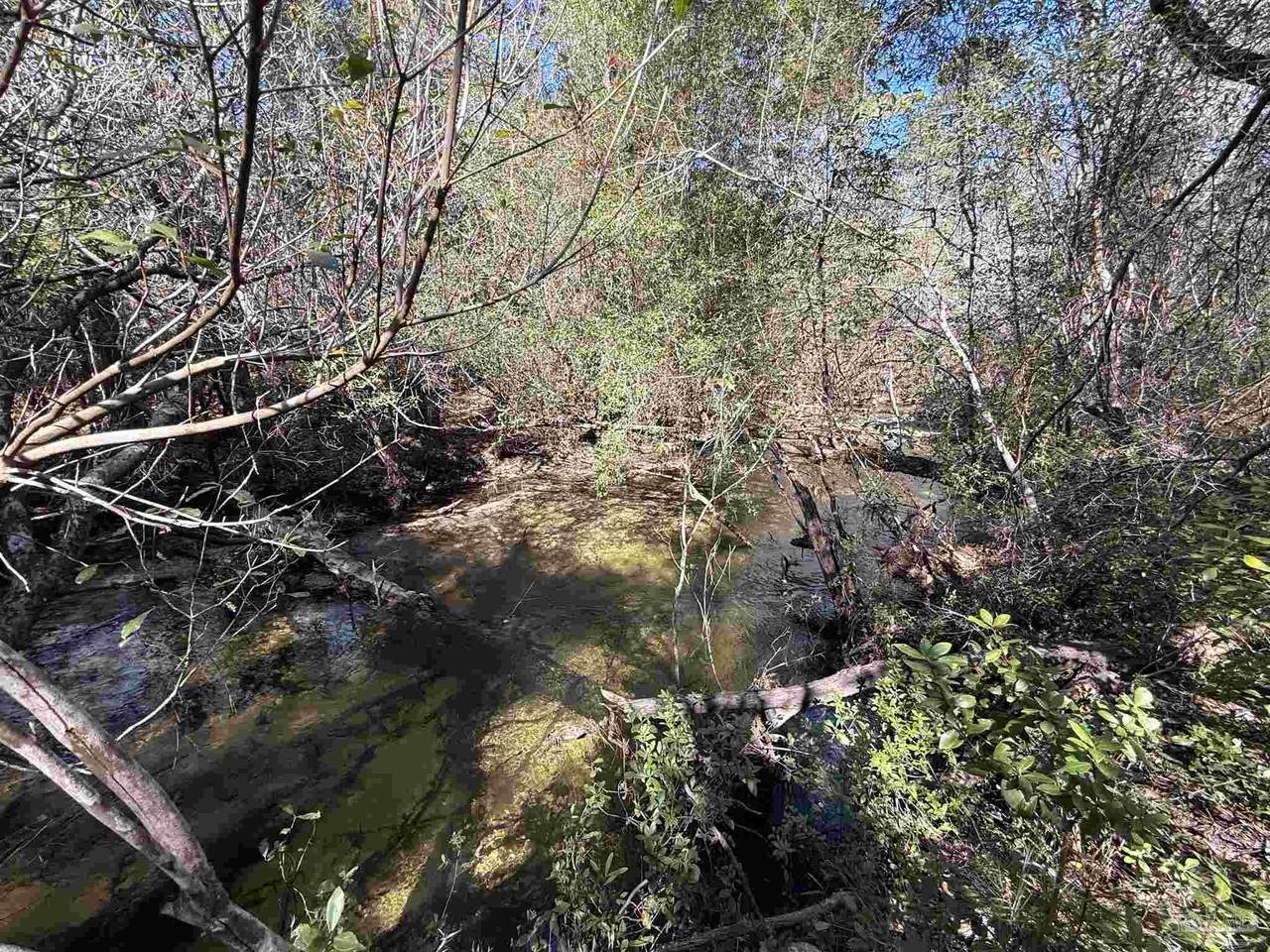 Lot 17 Brook Crossing St - Photo 1