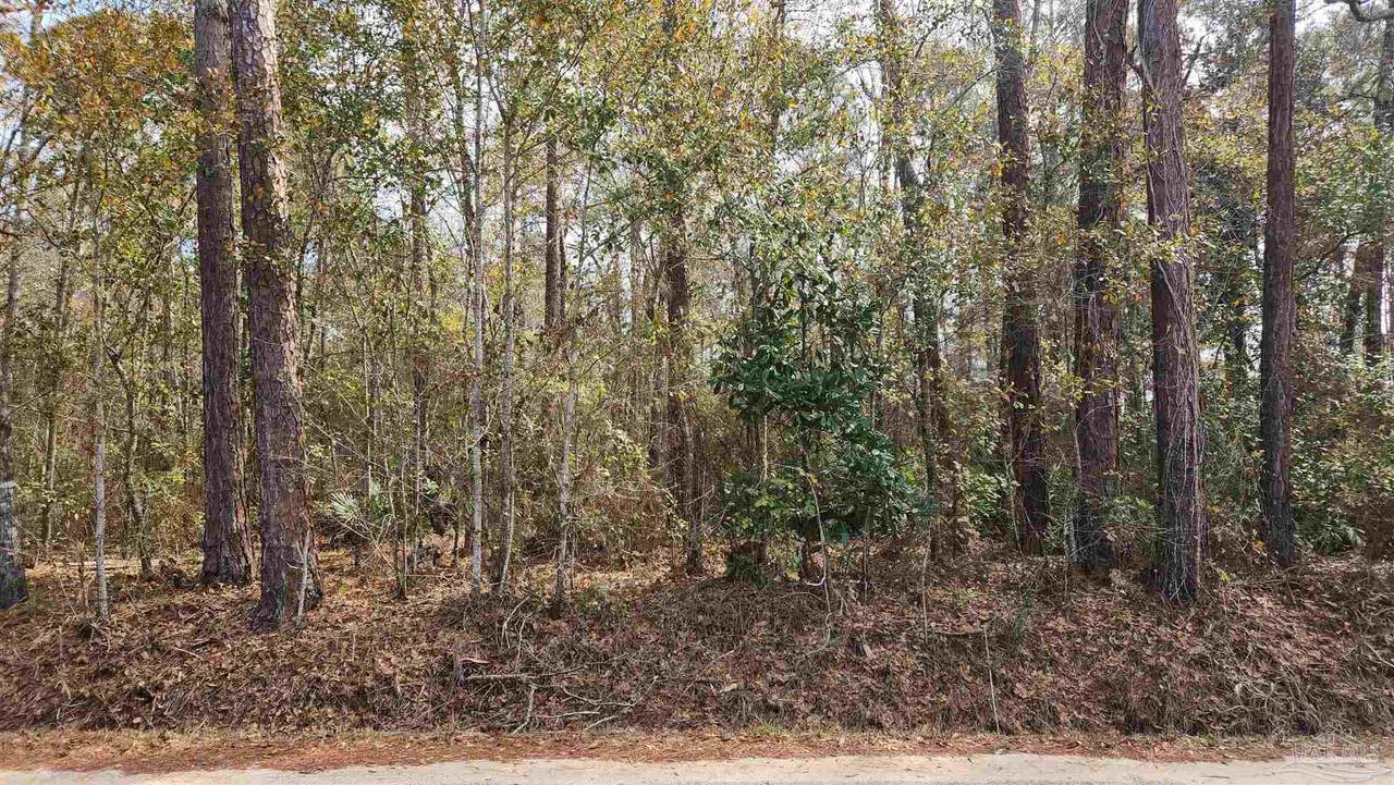  Pearson Rd - Photo 1