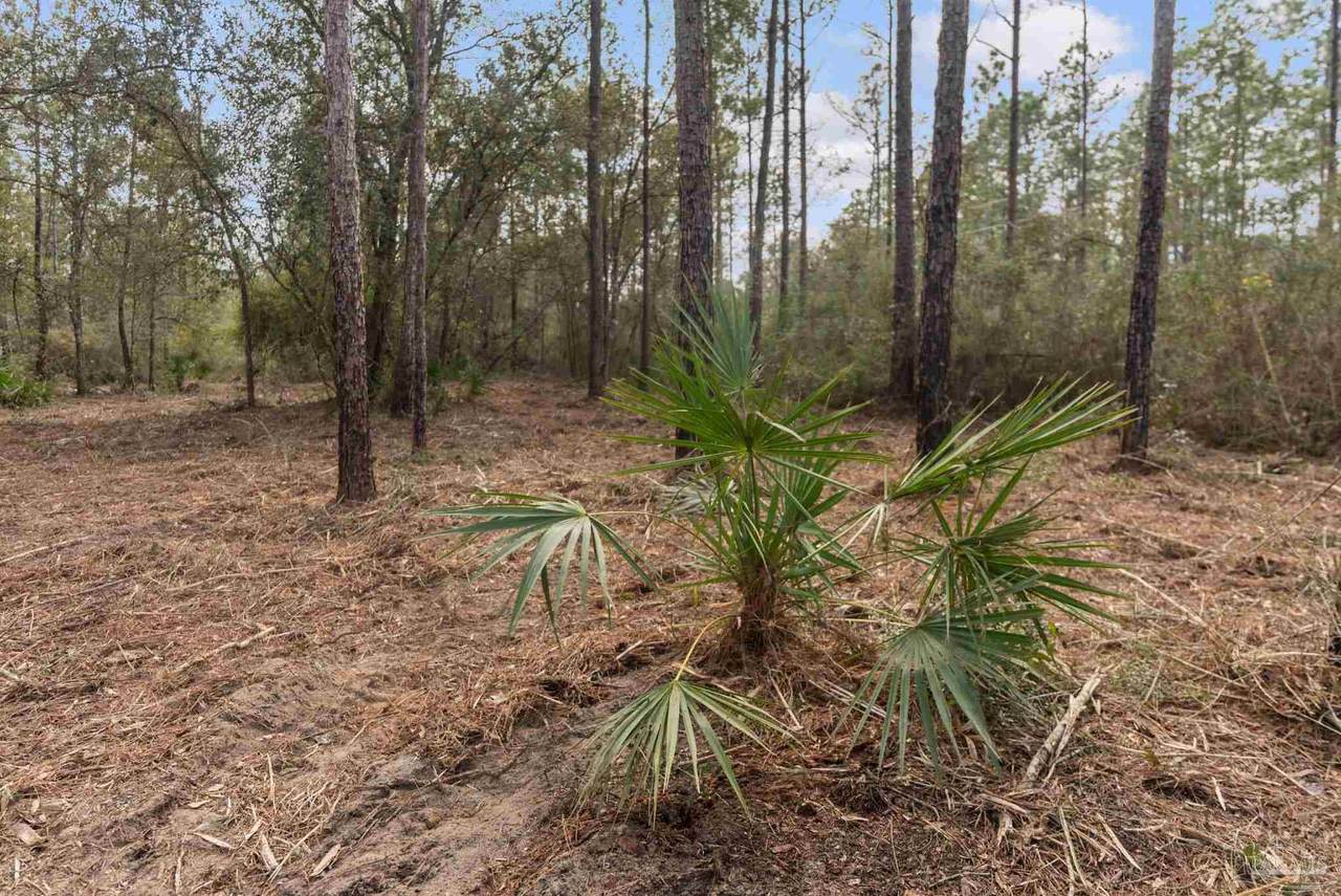 https://bt-photos.global.ssl.fastly.net/pensacola/1280_boomver_1_678698-2.jpg