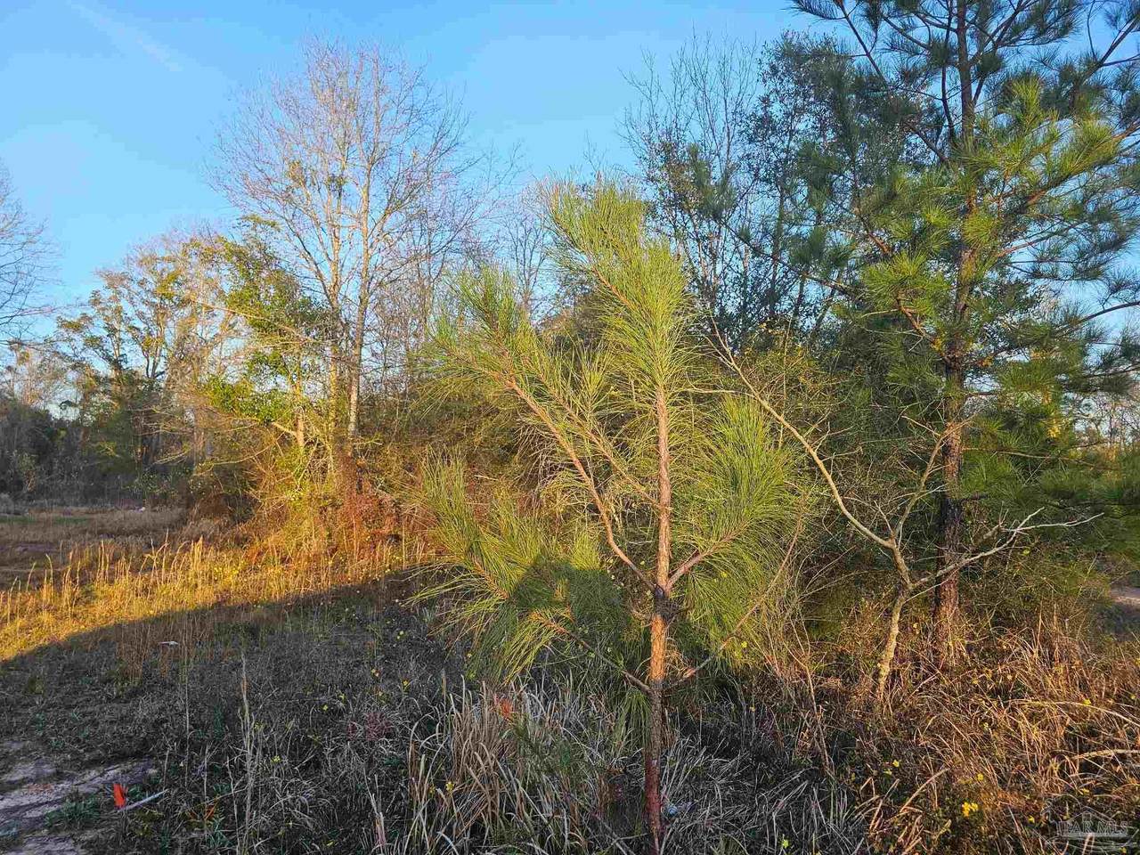 304 Chipper Rd - Photo 1