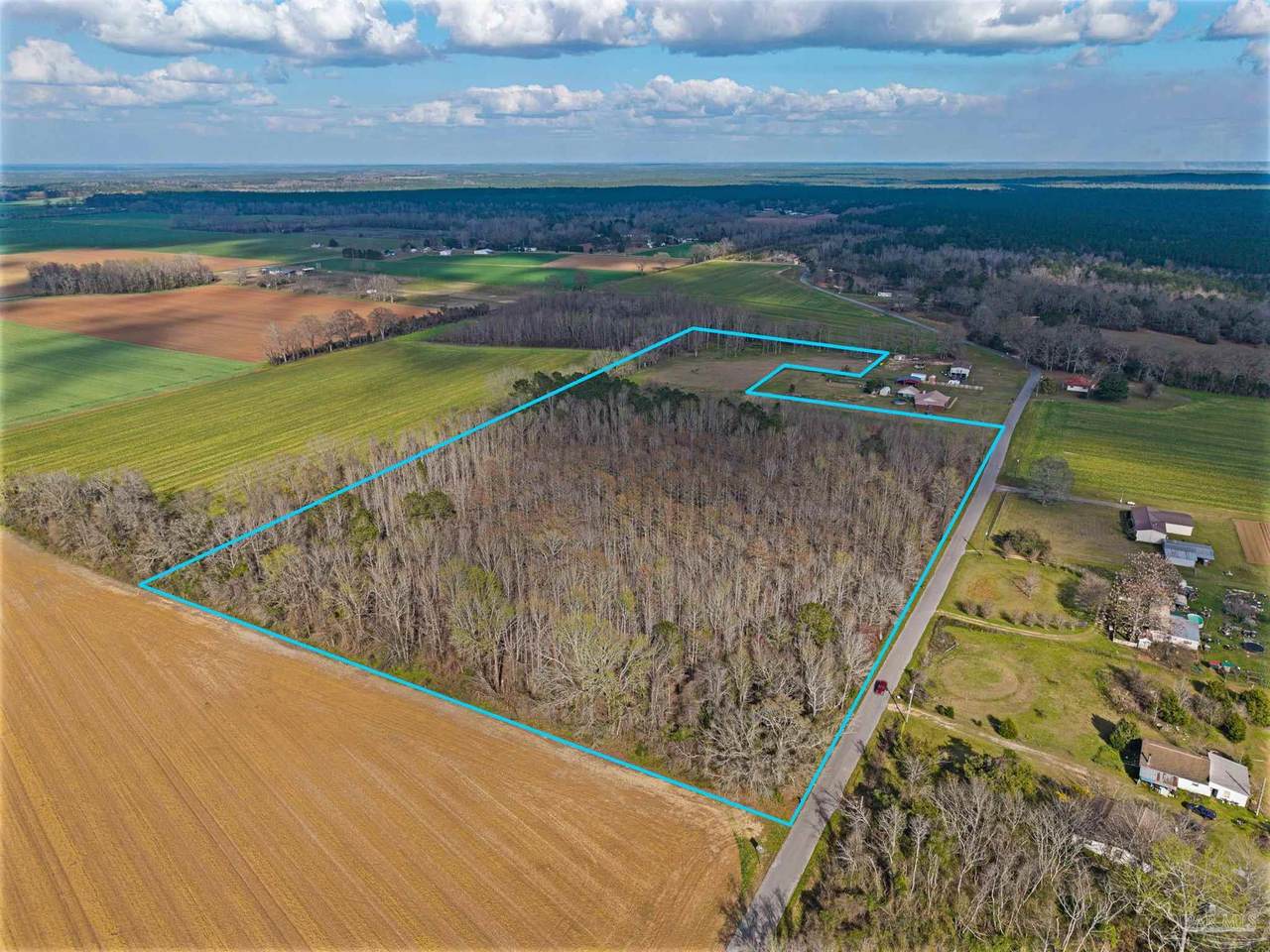 6562 Will Jones Rd - Photo 1