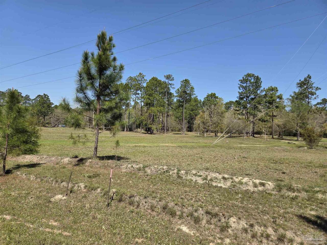 8330 Edith Ave - Photo 1
