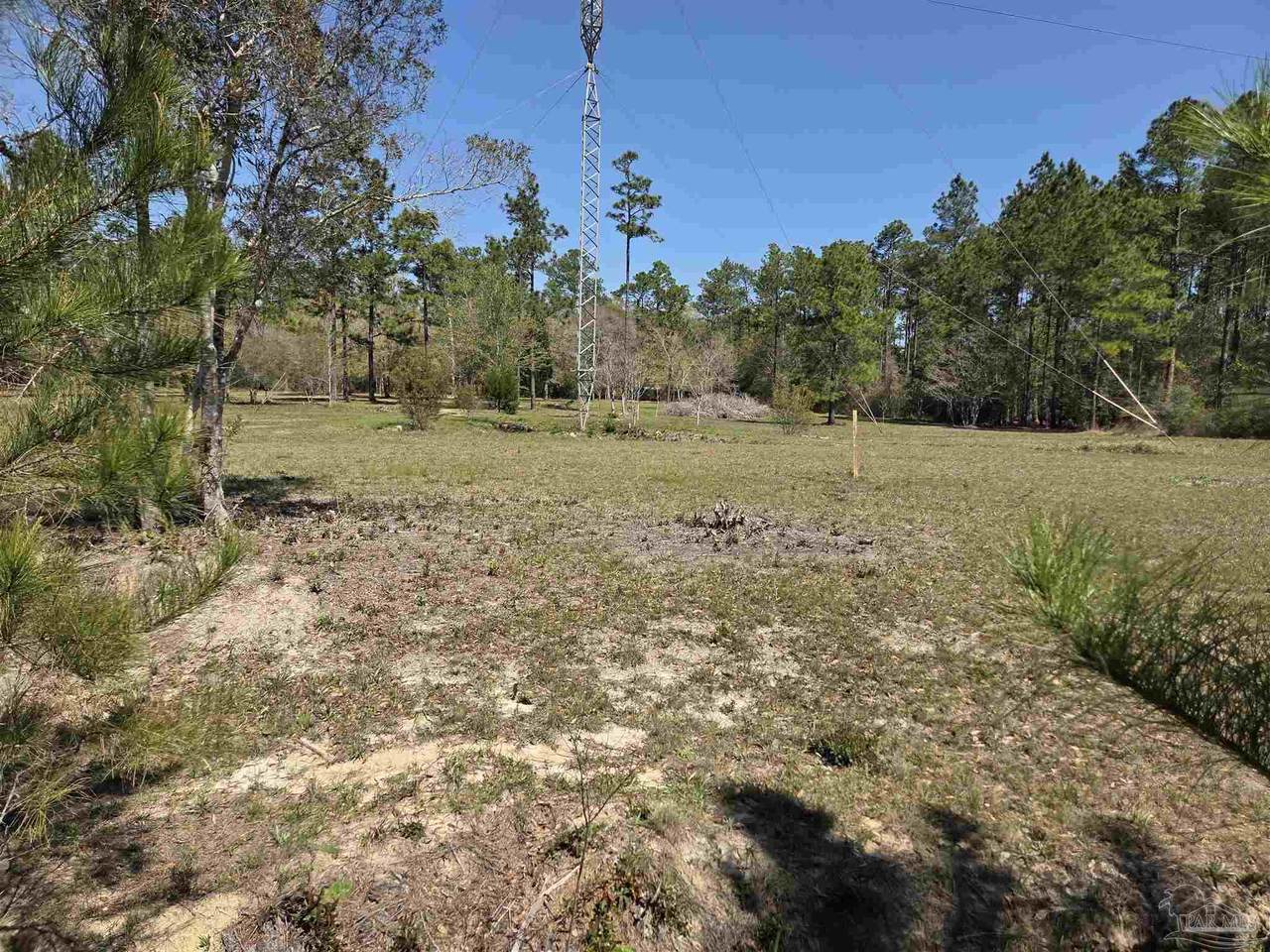 8330 Edith Ave - Photo 1