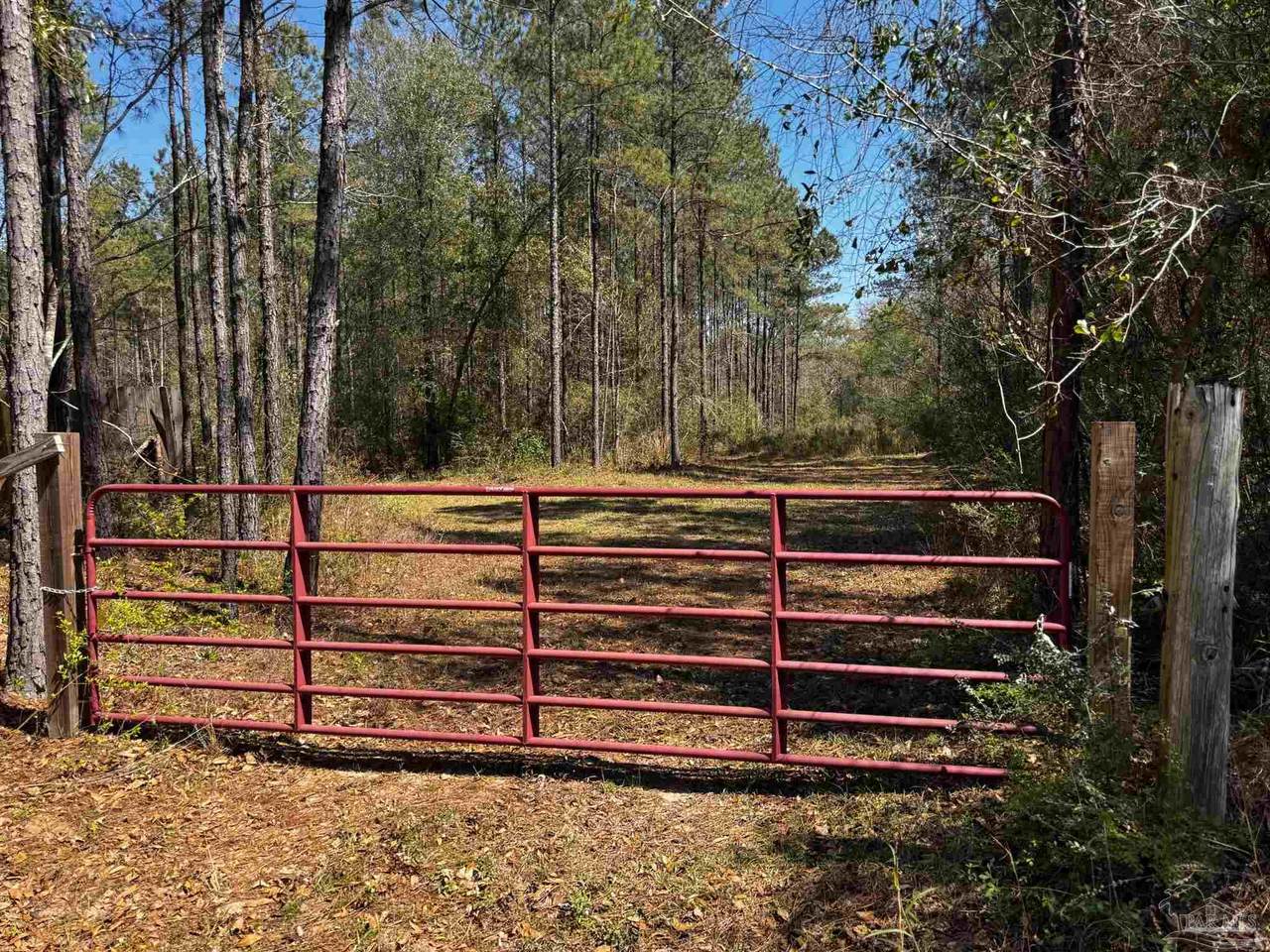 10474 Hwy 89 - Photo 1