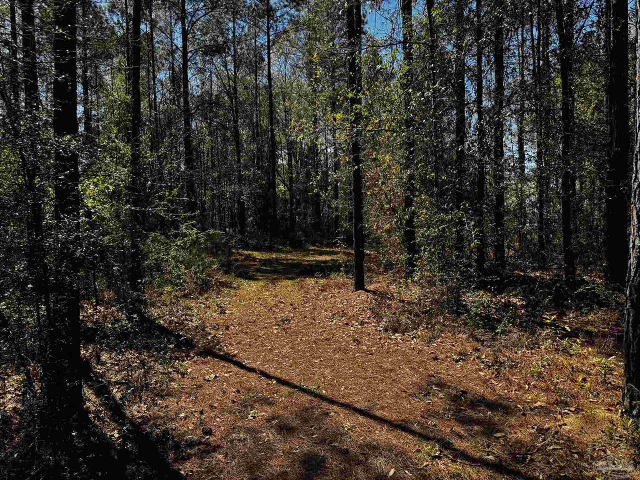 https://bt-photos.global.ssl.fastly.net/pensacola/1280_boomver_1_679580-2.jpg