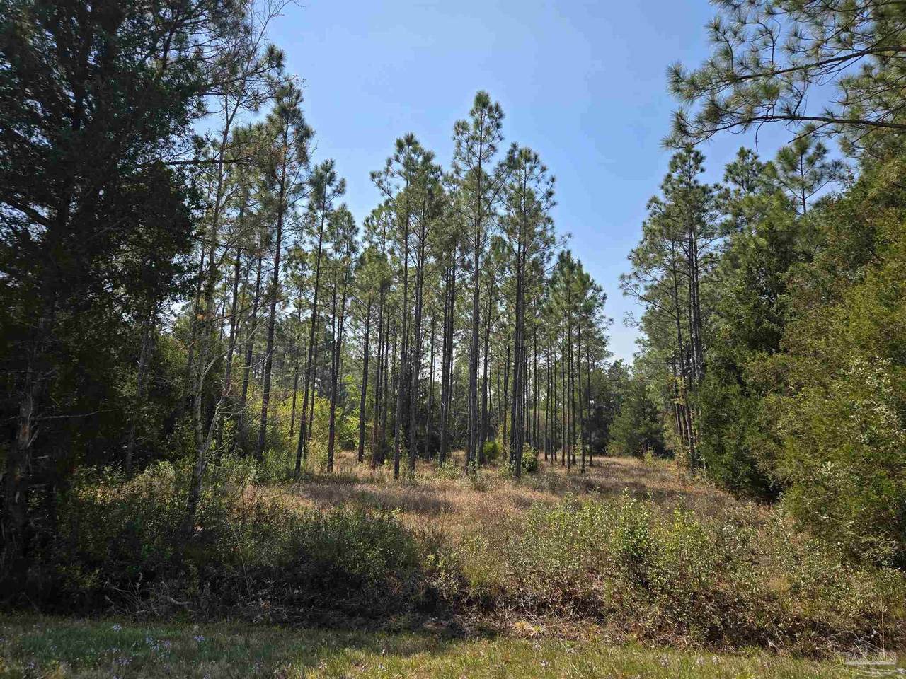 6641 Delhi Dr - Photo 1