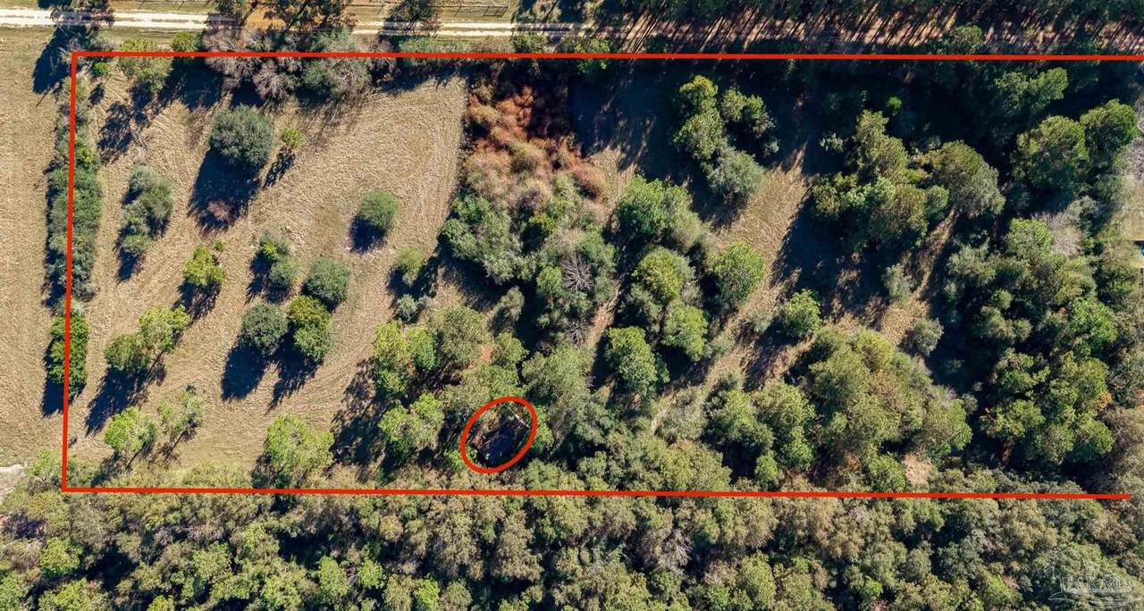 1756 Jacks Branch Rd - Photo 1
