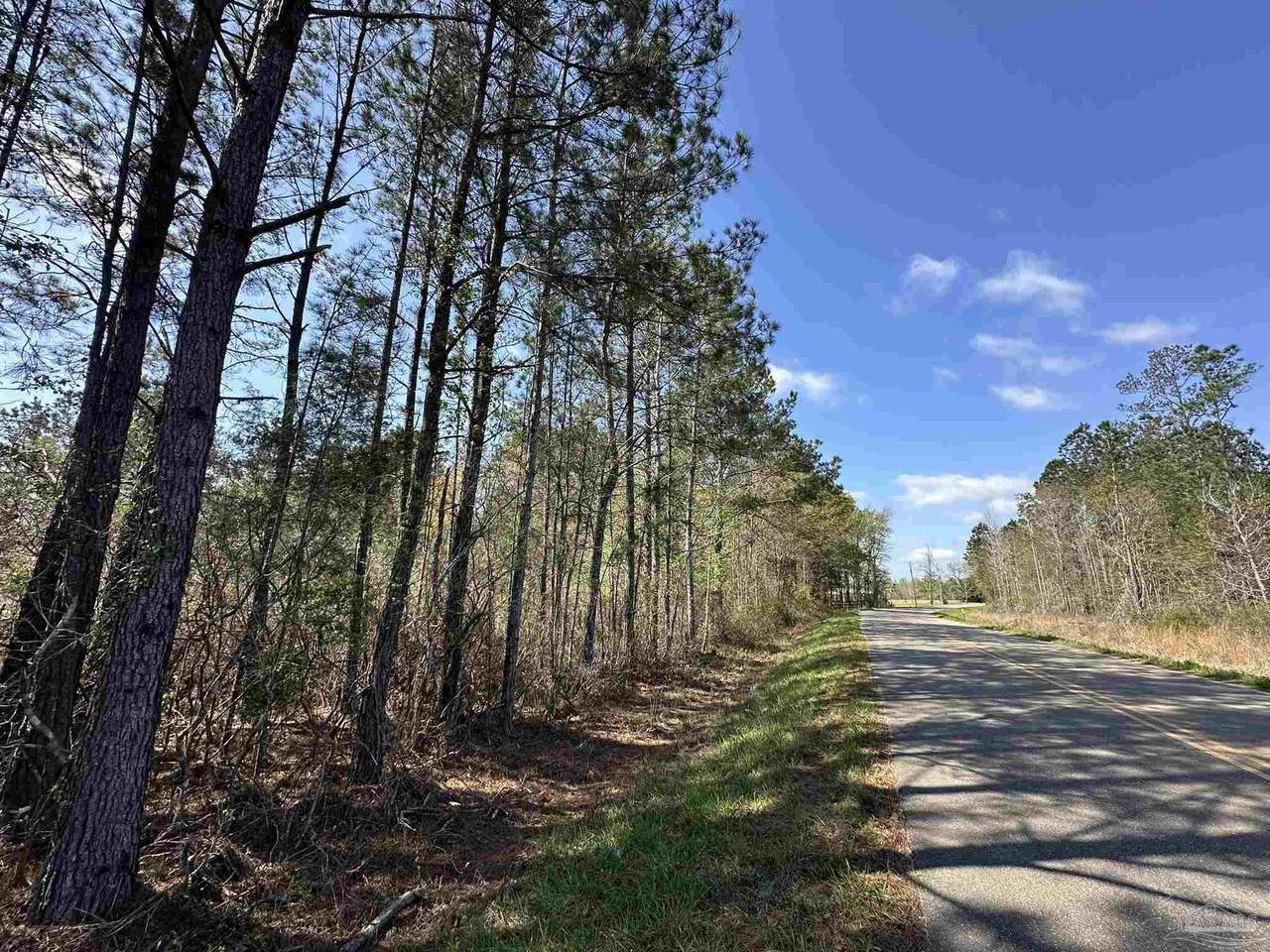 Lot A1 Snider Rd - Photo 1