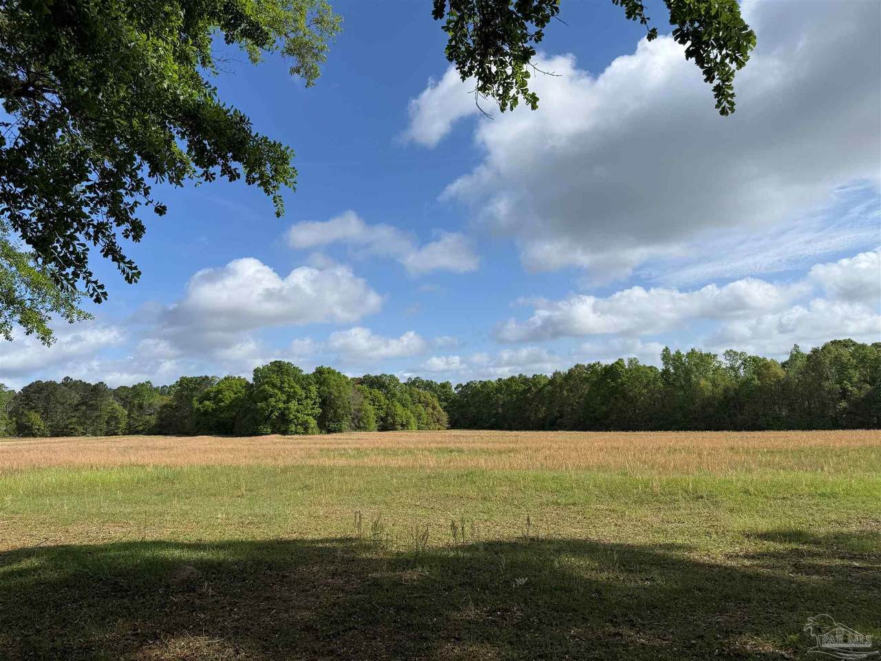 1350 Hwy 4 - Photo 1