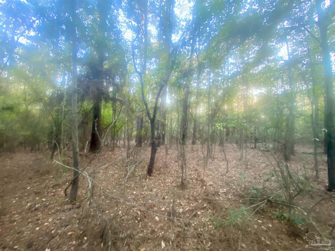 https://bt-photos.global.ssl.fastly.net/pensacola/orig_boomver_1_680330-2.jpg