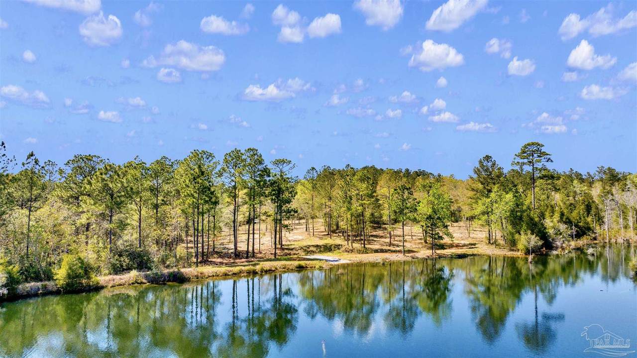 https://bt-photos.global.ssl.fastly.net/pensacola/1280_boomver_1_681233-2.jpg