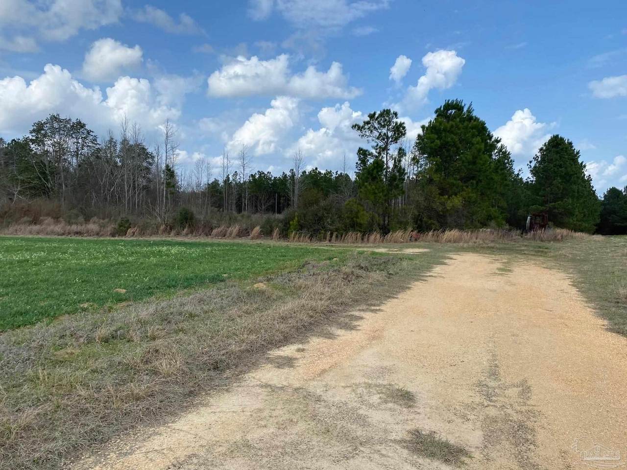 001 Hwy 399 - Photo 1