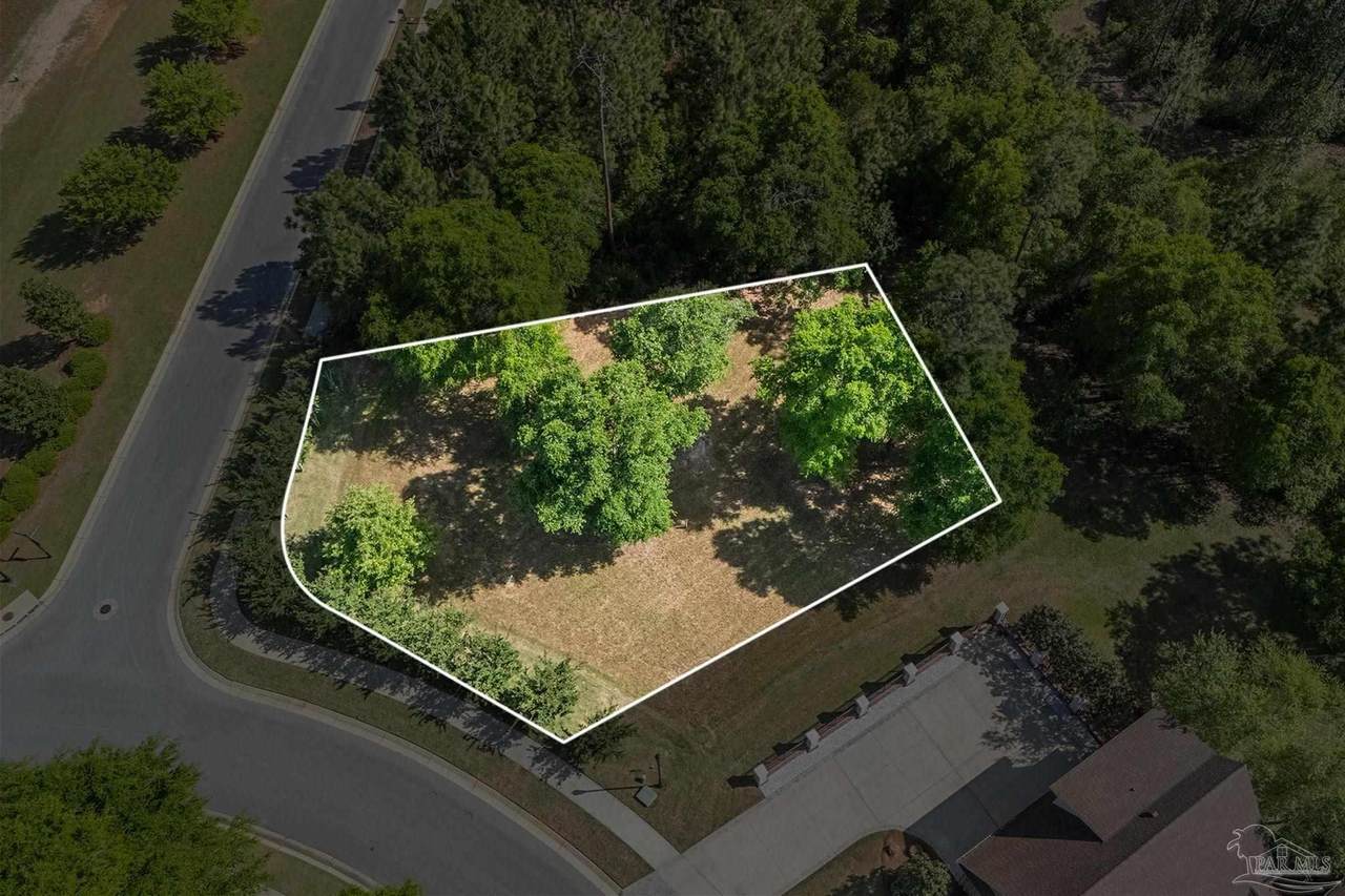 8547 Foxtail Loop - Photo 1
