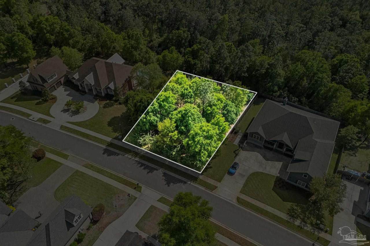 8565 Foxtail Loop - Photo 1