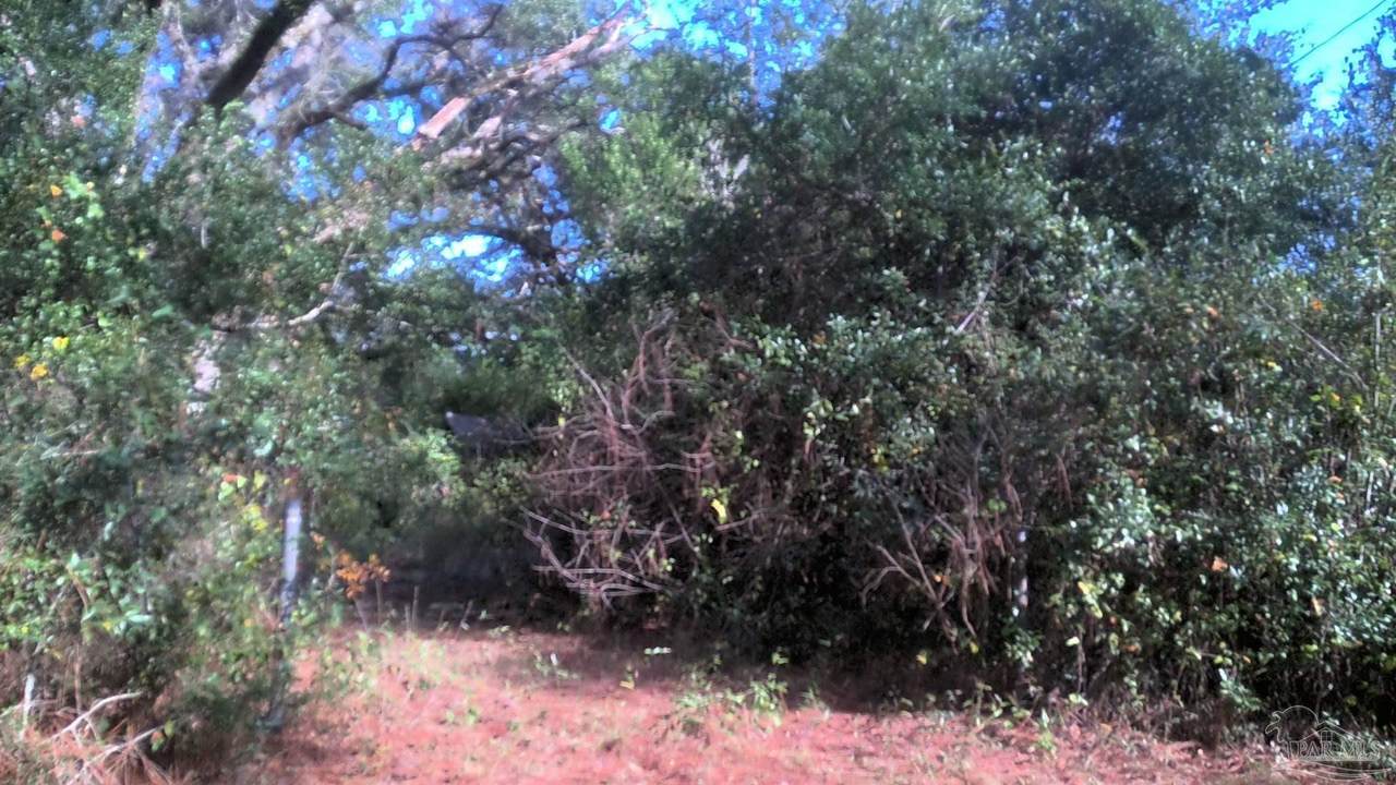 8731 Chisholm Rd - Photo 1