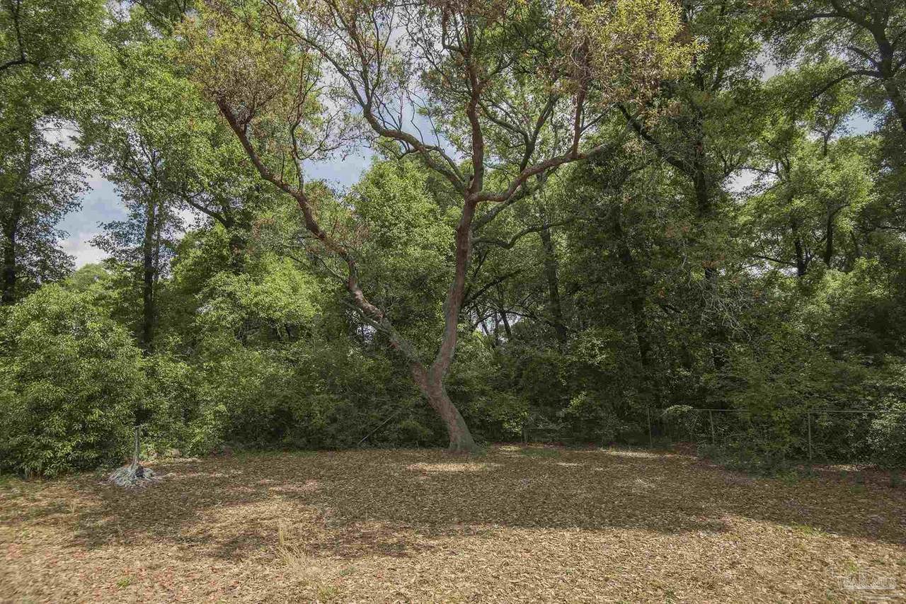 5008 Muldoon Cir - Photo 1