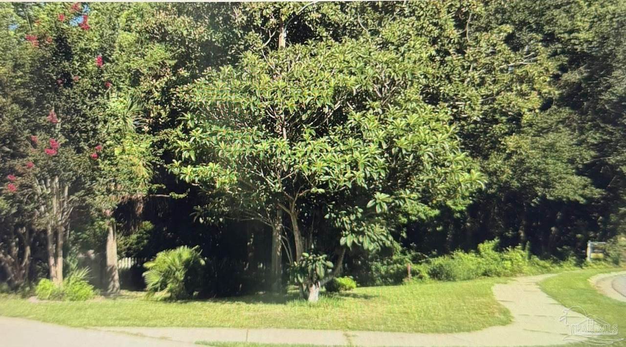 5969 Hermitage Dr - Photo 1