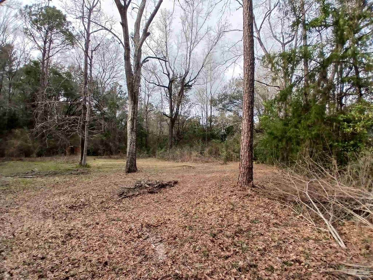 930 Brookhills Dr - Photo 1