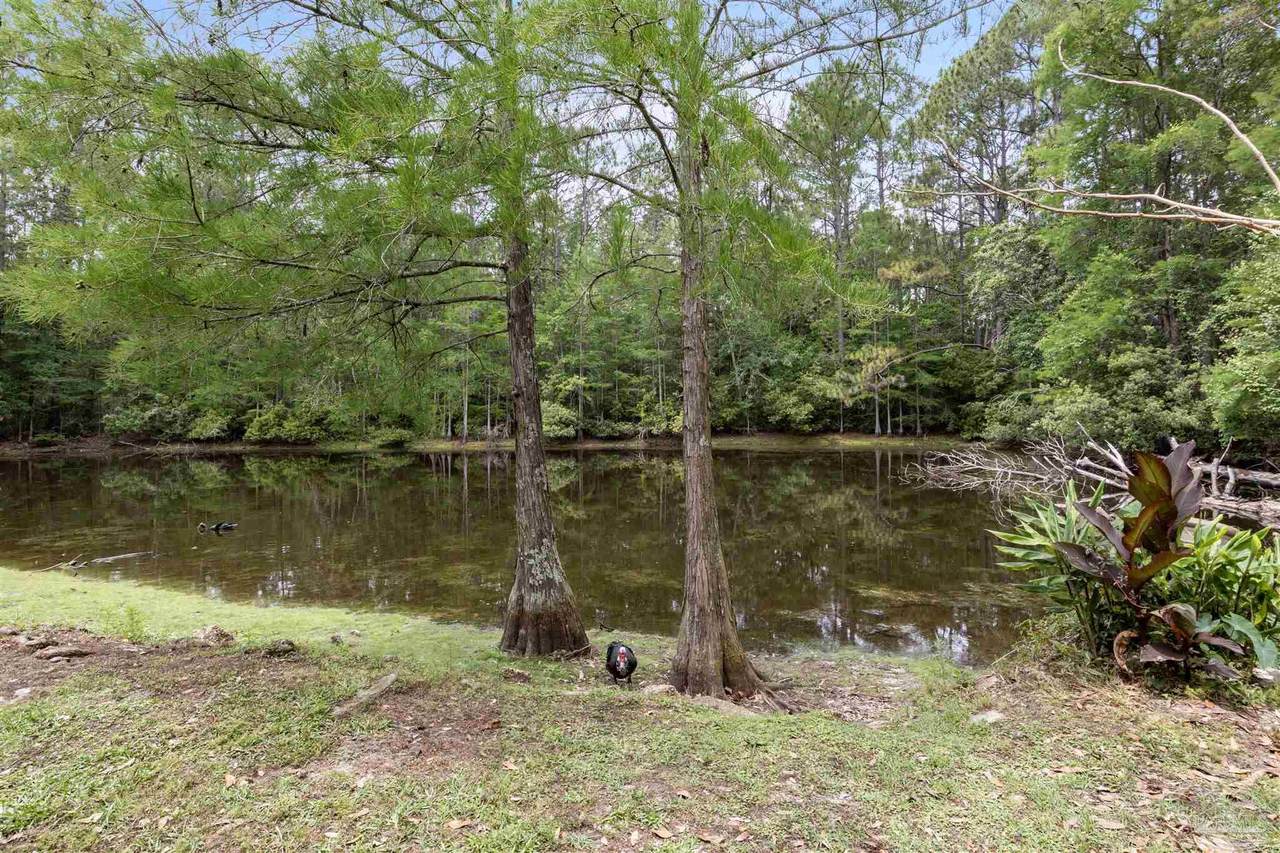 https://bt-photos.global.ssl.fastly.net/pensacola/1280_boomver_1_682481-2.jpg