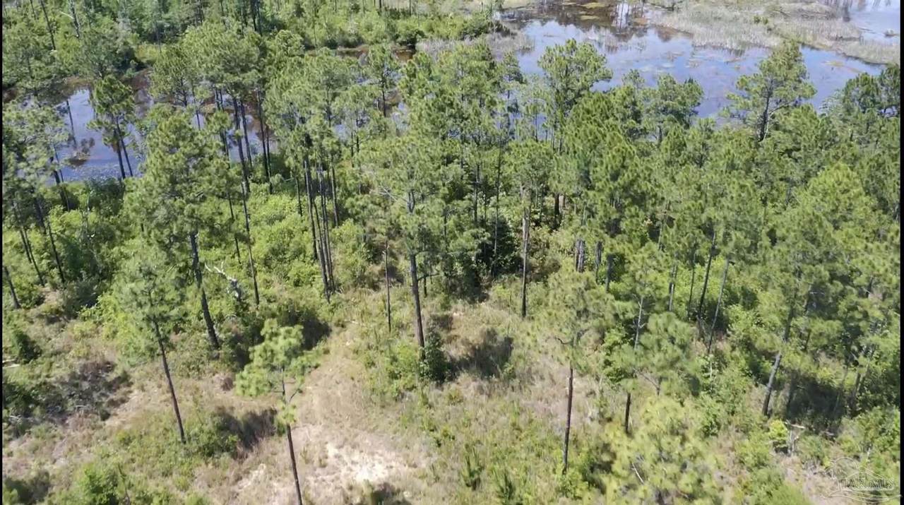 https://bt-photos.global.ssl.fastly.net/pensacola/1280_boomver_1_683539-2.jpg