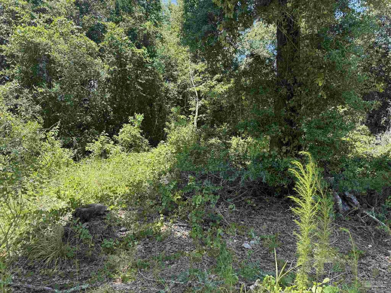 https://bt-photos.global.ssl.fastly.net/pensacola/1280_boomver_1_686245-2.jpg