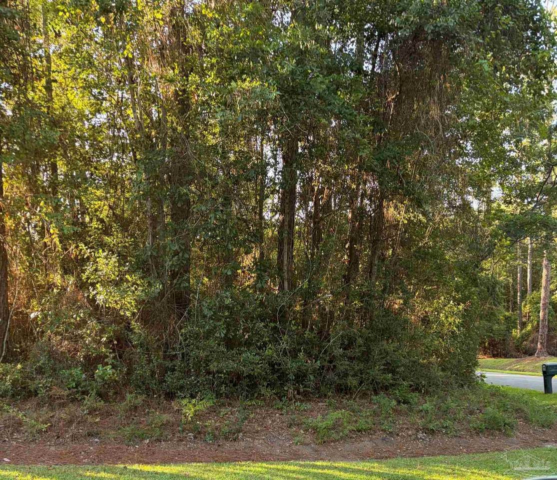 301 Deerfoot Ln - Photo 1