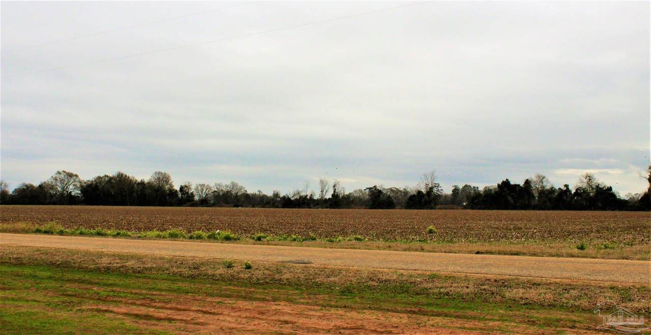 02 Godwin Rd - Photo 1