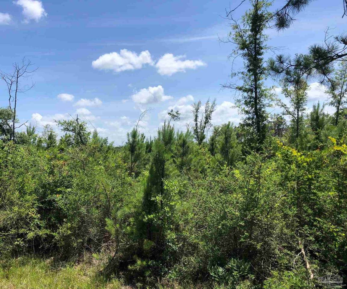 0000 County Rd 112 - Photo 1