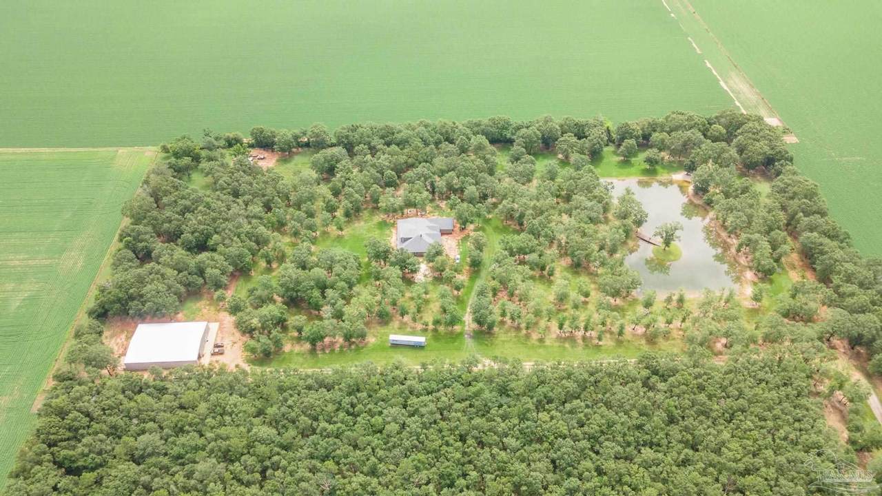9180 Chumuckla Hwy - Photo 1