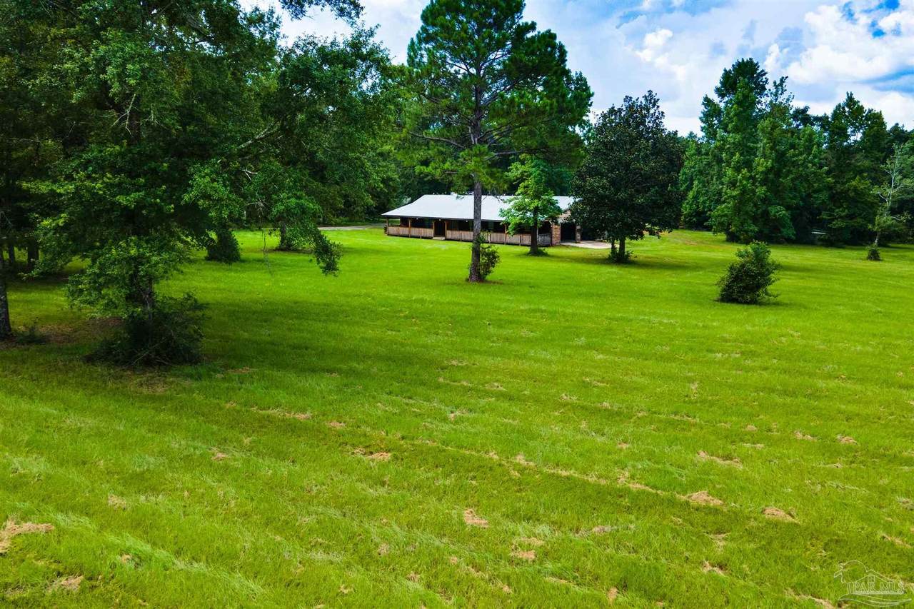 695 Barrineau Park Rd - Photo 1